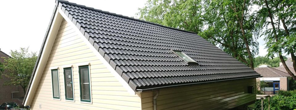 project20 20pannendakenDSC 1757